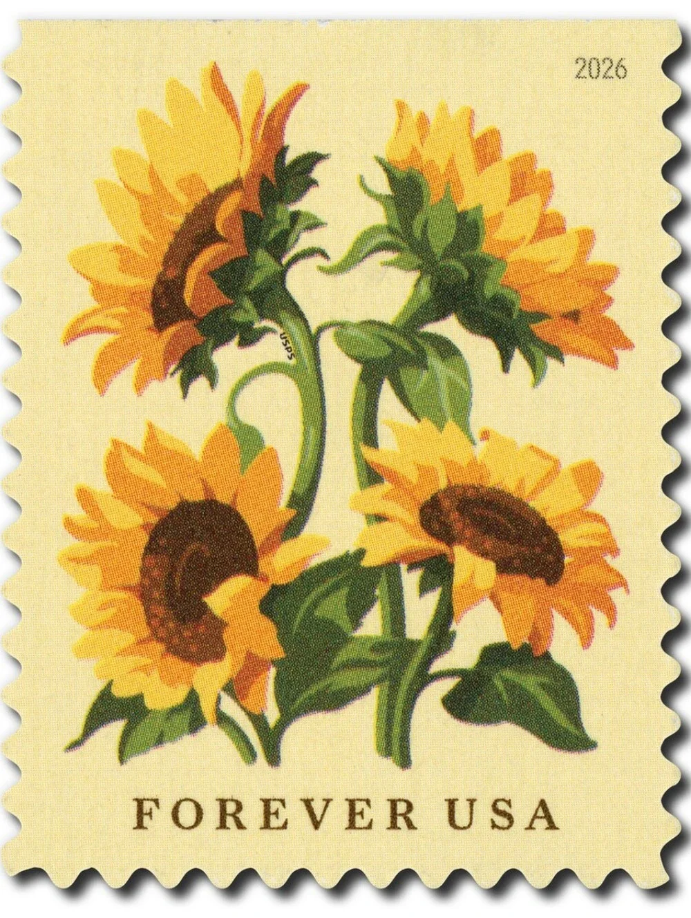 100 Sunflowers 2026 USPS Forever Postage Stamps Postal Wedding Invites Save Date
